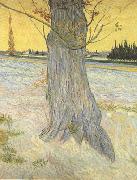 Vincent Van Gogh, Trunk of an old Yew Tree (nn04)